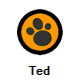 Ted